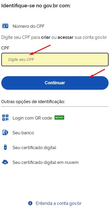 Passo 2 - Acessar com credenciais ou criar conta